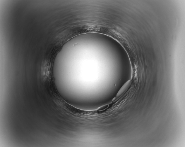 X0000088701154200705311209