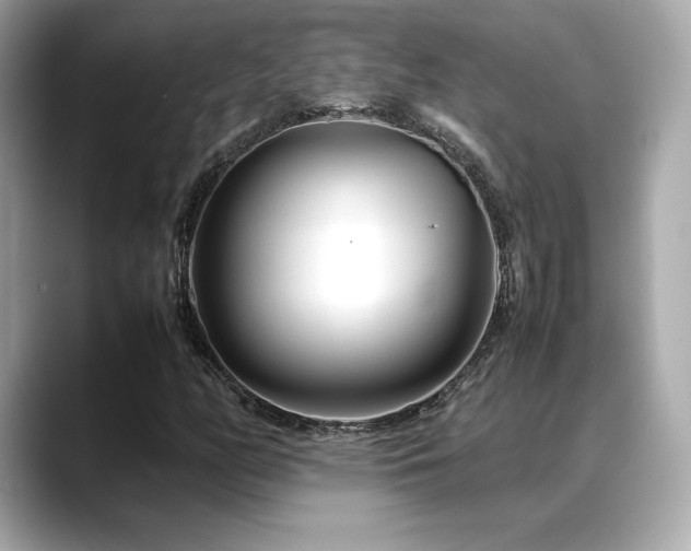 X0000088701158200705311209