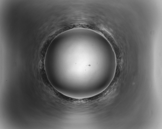X0000088701159200705311209