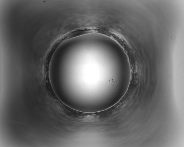 X0000088701160200705311209