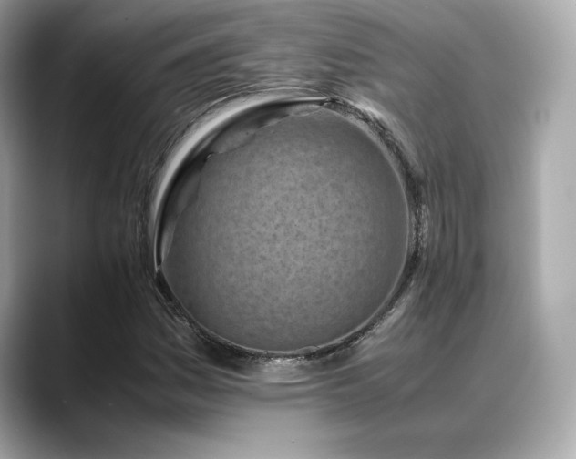 X0000088701161200705311209