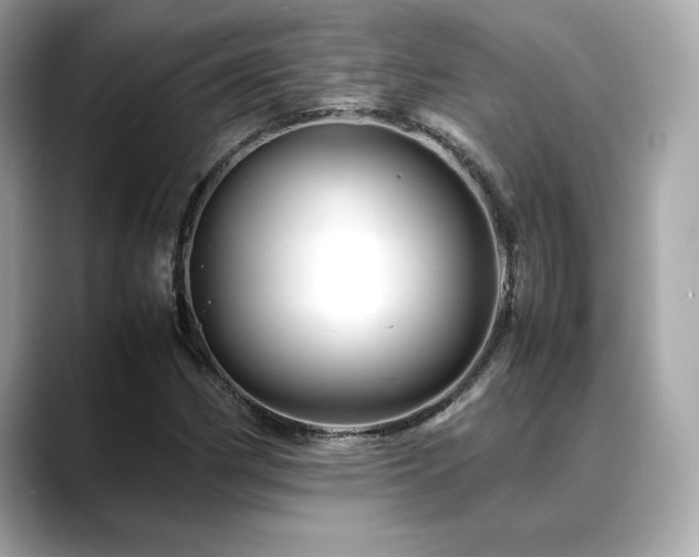 X0000088701162200705311209