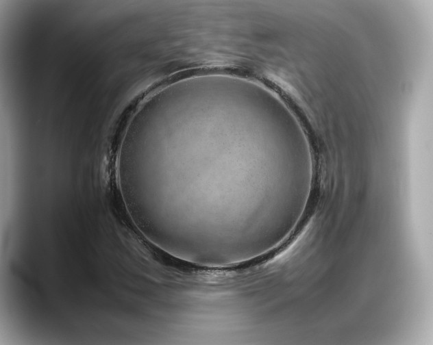 X0000088701163200705311209