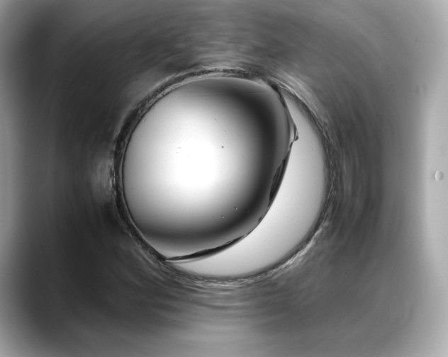 X0000088701164200705311209