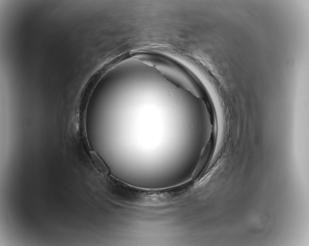 X0000088701165200705311209