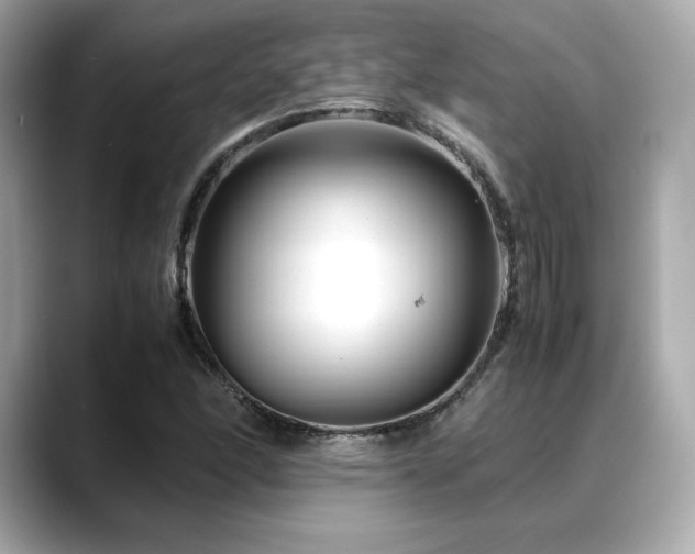 X0000088701166200705311209