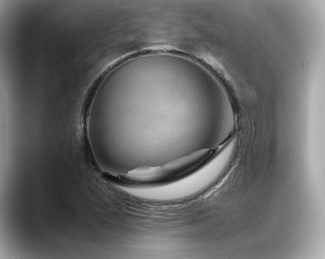 X0000088701167200705311209