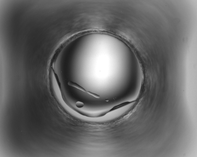 X0000088701168200705311209