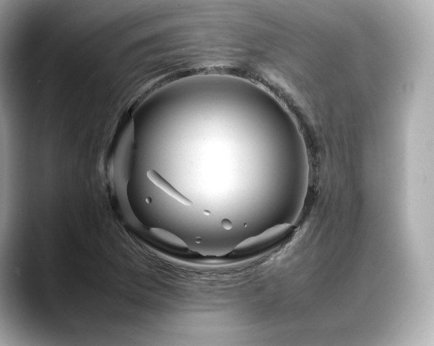 X0000088701169200705311209