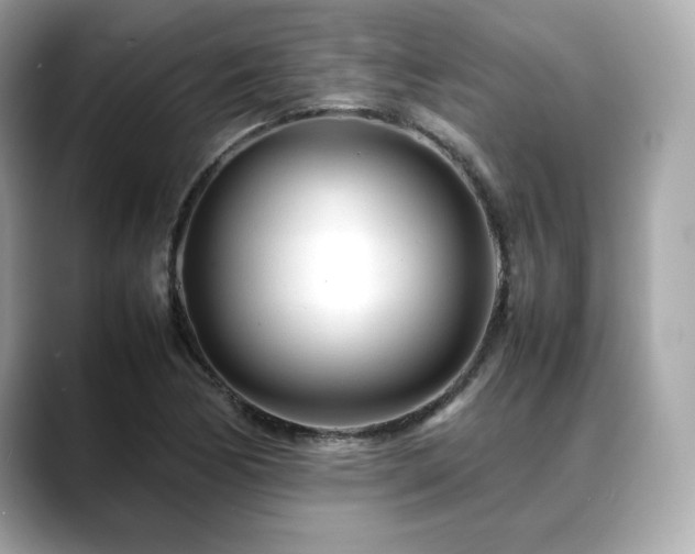 X0000088701170200705311209