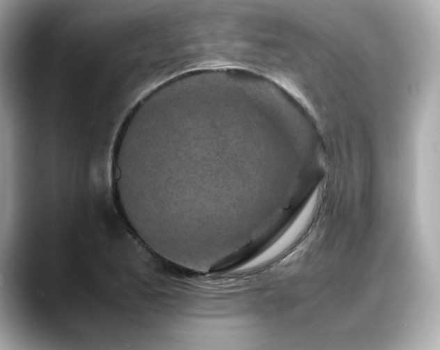 X0000088701173200705311209