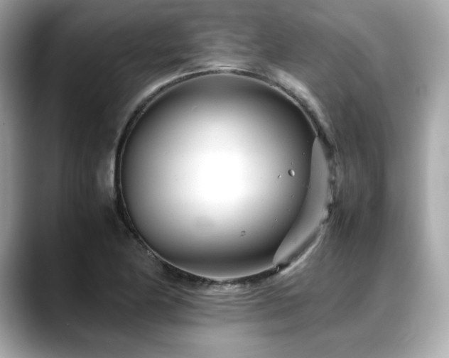 X0000088701174200705311209