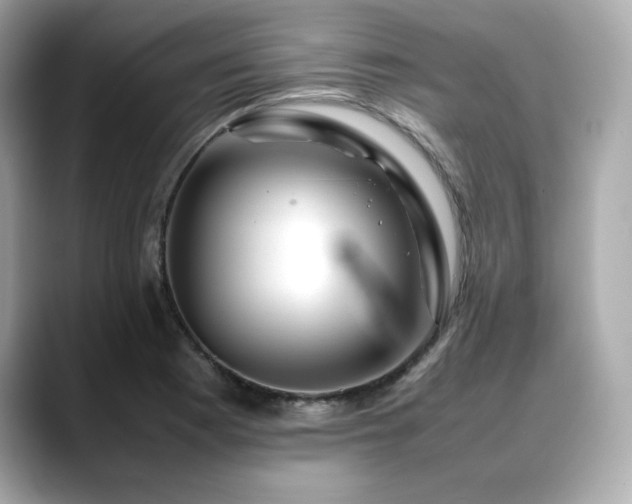 X0000088701177200705311209