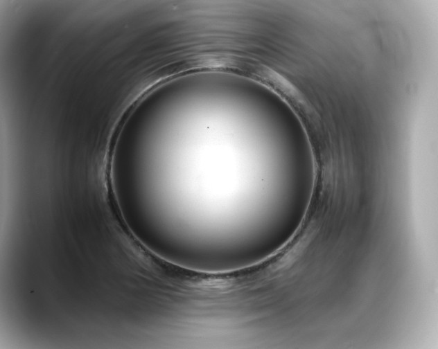 X0000088701178200705311209