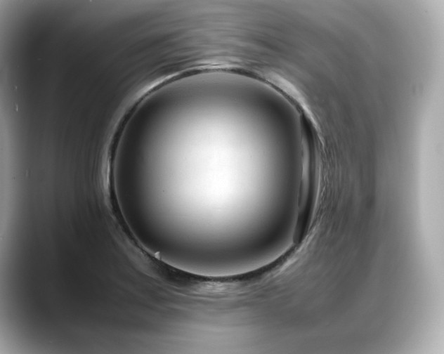 X0000088701179200705311209