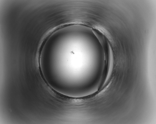 X0000088701180200705311209