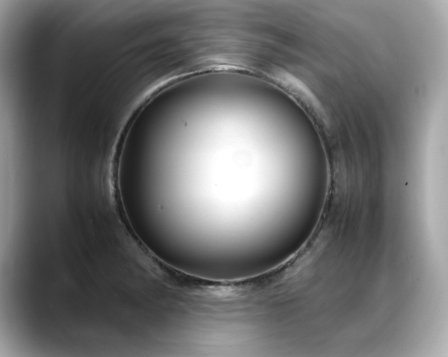 X0000088701182200705311209
