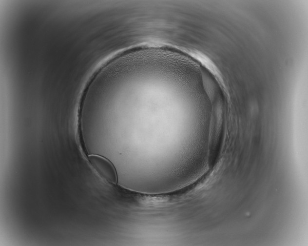X0000088701183200705311209