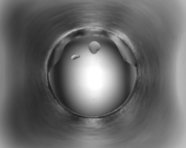 X0000088701184200705311209