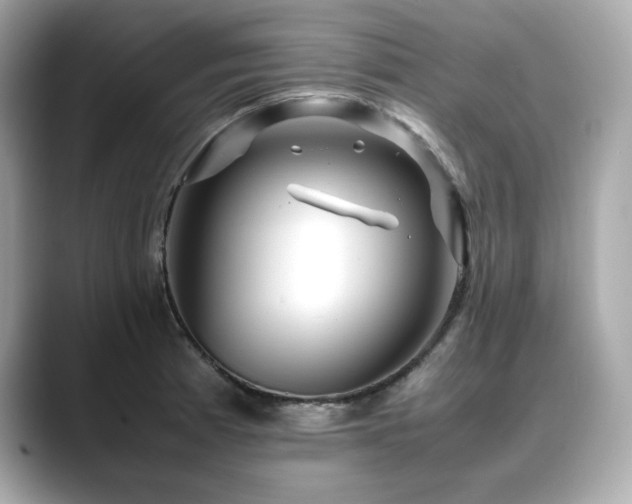 X0000088701185200705311209