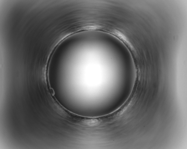X0000088701186200705311209
