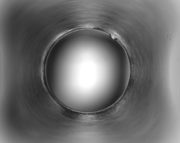 X0000088701187200705311209