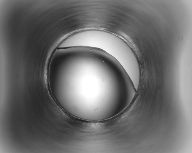 X0000088701188200705311209
