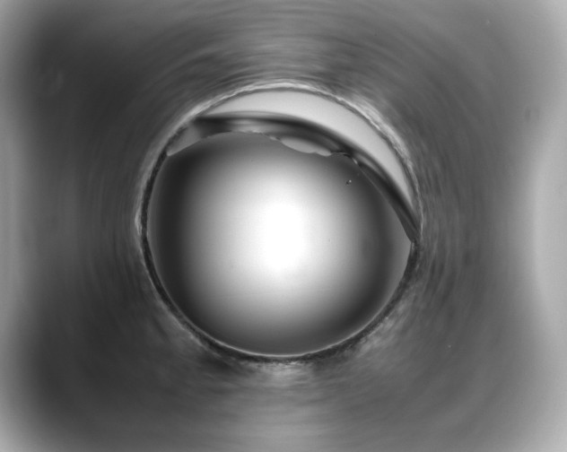 X0000088701189200705311209