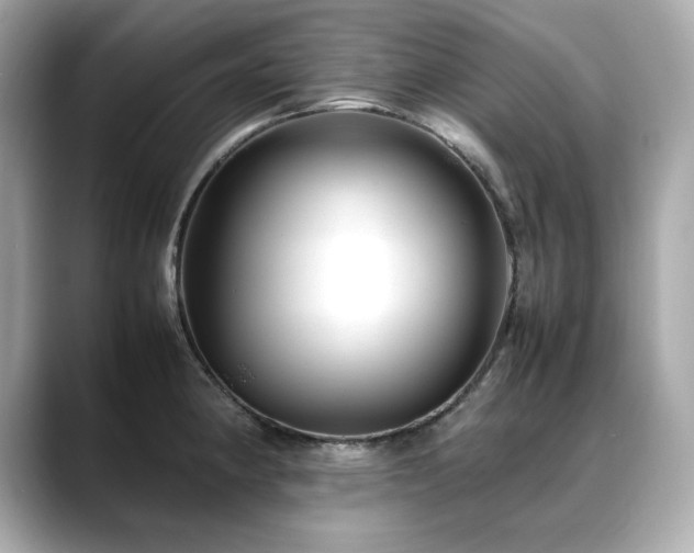 X0000088701190200705311209