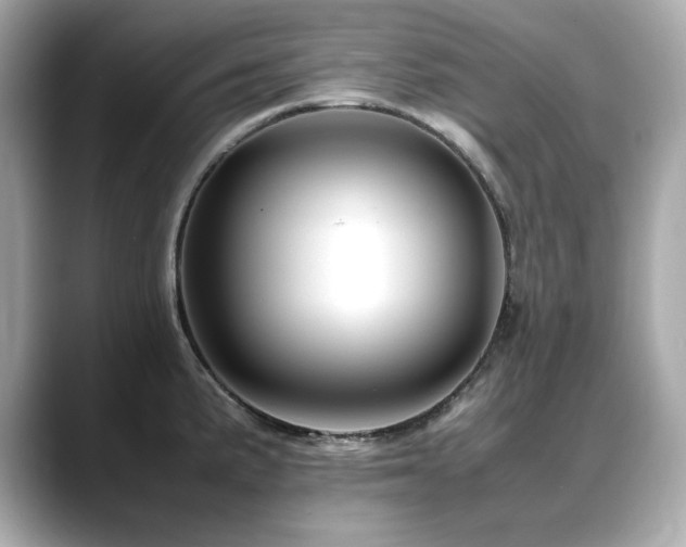 X0000088701191200705311209