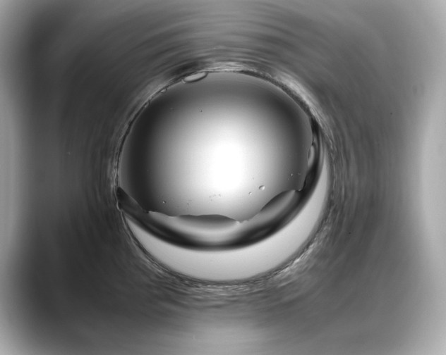 X0000088701193200705311209