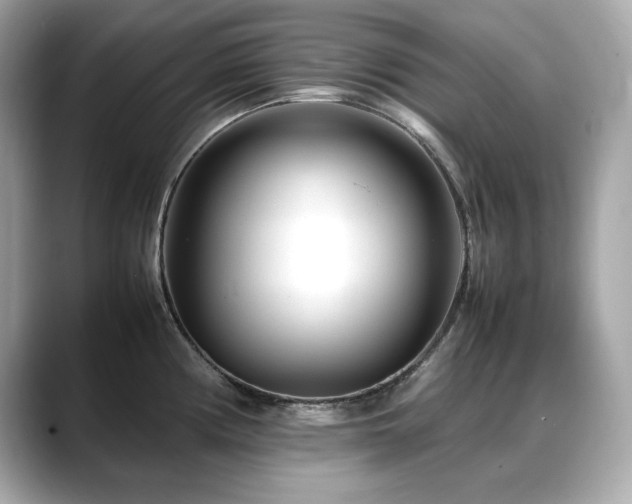X0000088701194200705311209