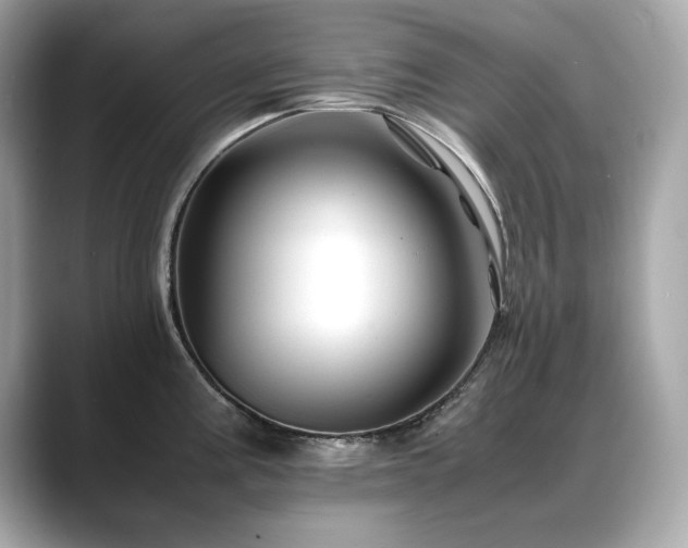 X0000088701195200705311209