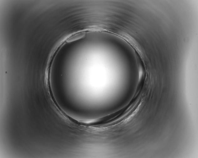 X0000088701196200705311209