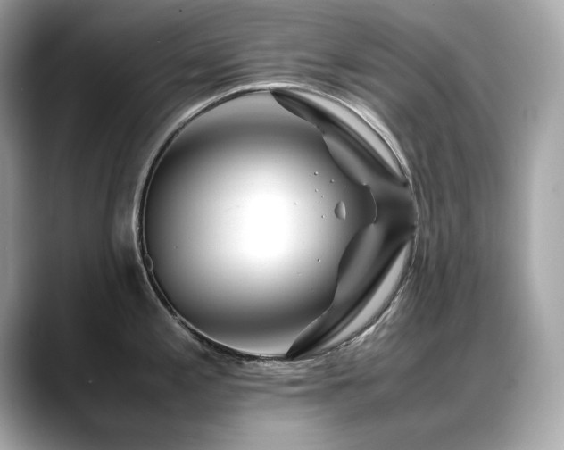 X0000088701197200705311209