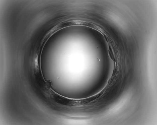 X0000088701198200705311209