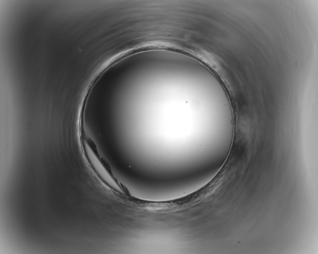 X0000088701199200705311209