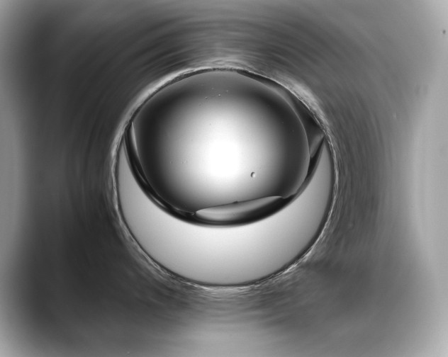 X0000088701200200705311209