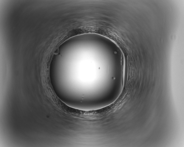 X0000088701201200705311208