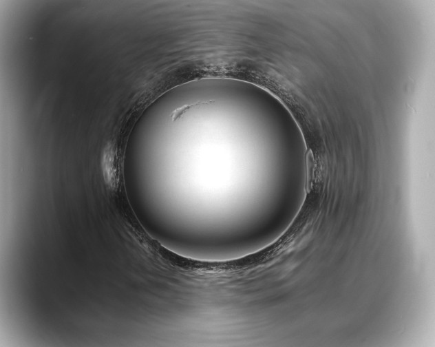 X0000088701202200705311208