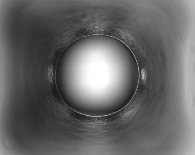 X0000088701203200705311208