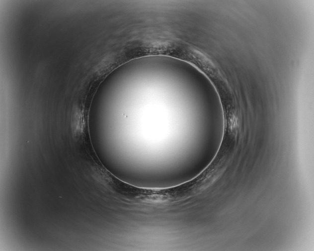 X0000088701204200705311208