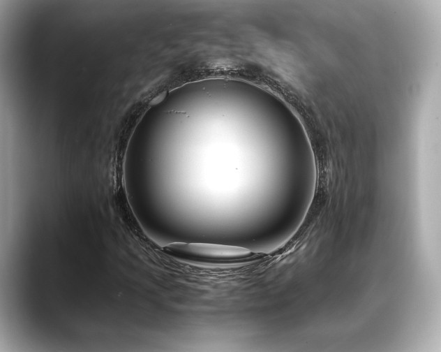 X0000088701205200705311208