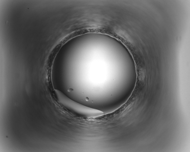 X0000088701208200705311208