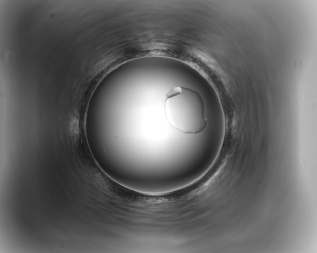 X0000088701209200705311208