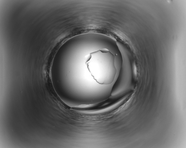 X0000088701210200705311208