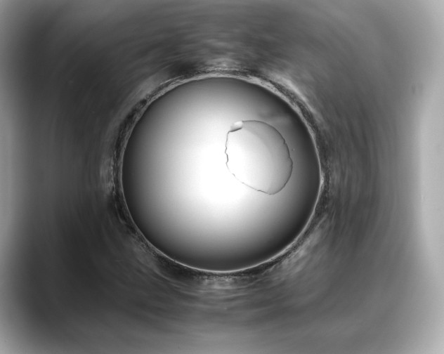 X0000088701211200705311208