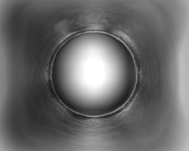 X0000088701212200705311209