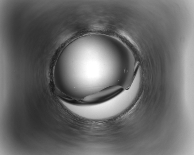 X0000088701213200705311209