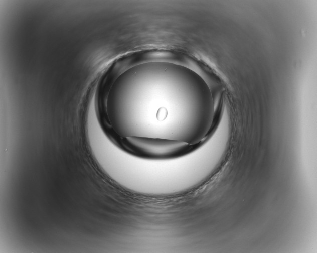 X0000088701214200705311209